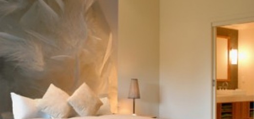 sur-mon-mur-plumes-300x227